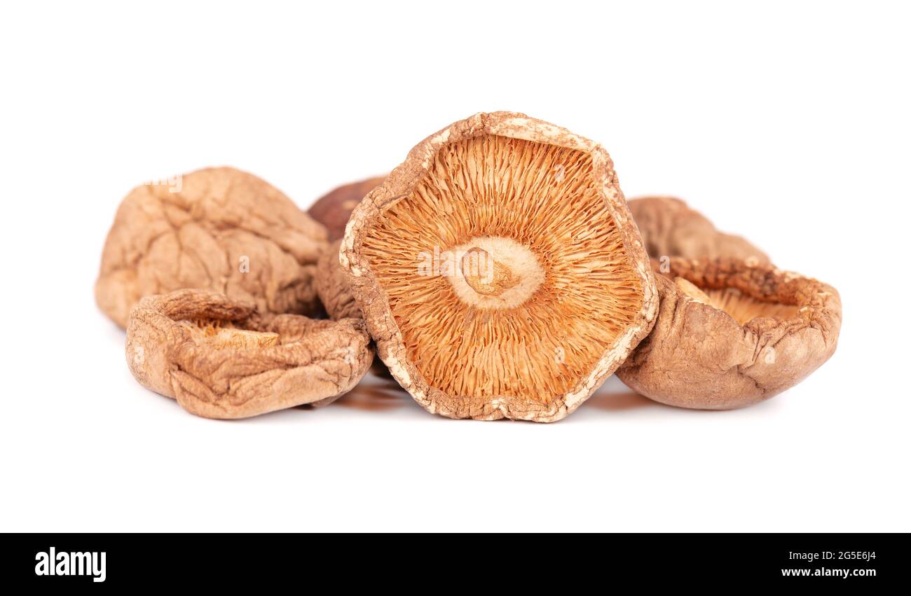 Dried shiitake mushrooms, isolated on white background. Japanese forest