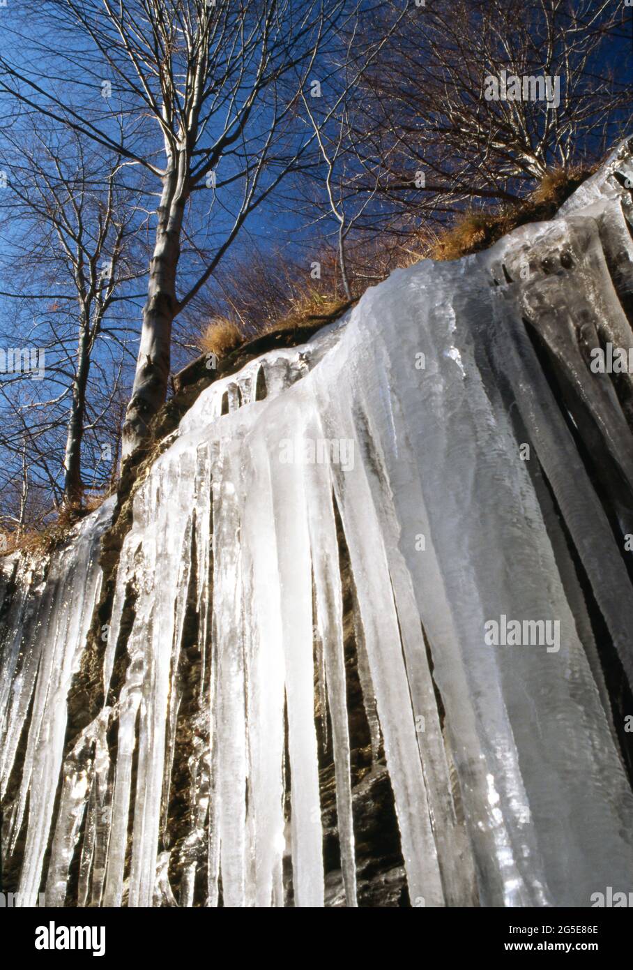 Acqua ghiacciata nel bosco nell'inverno in Liguria Stock Photo