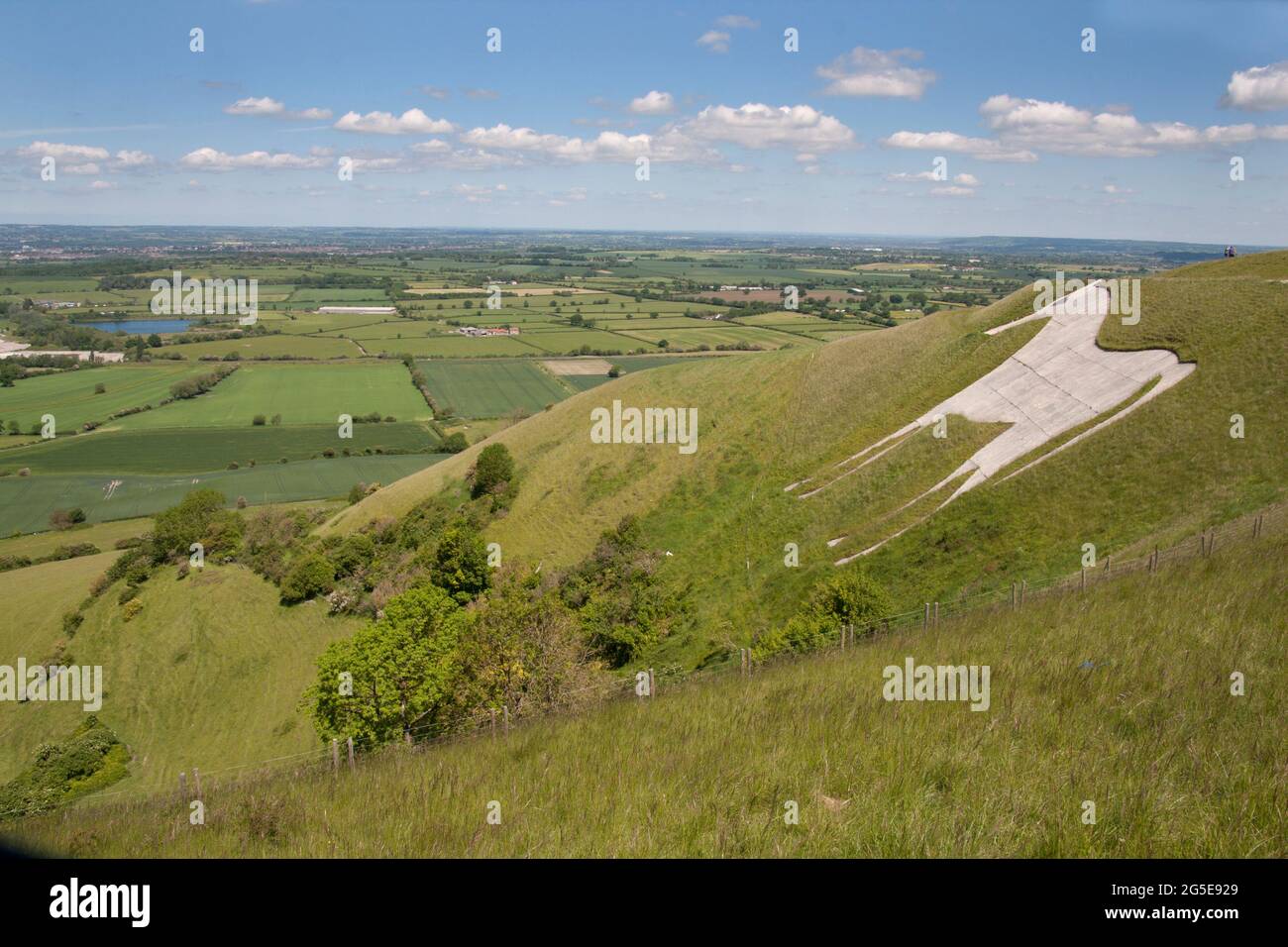 Westbury white horse, wiltshire hires stock photography and images Alamy