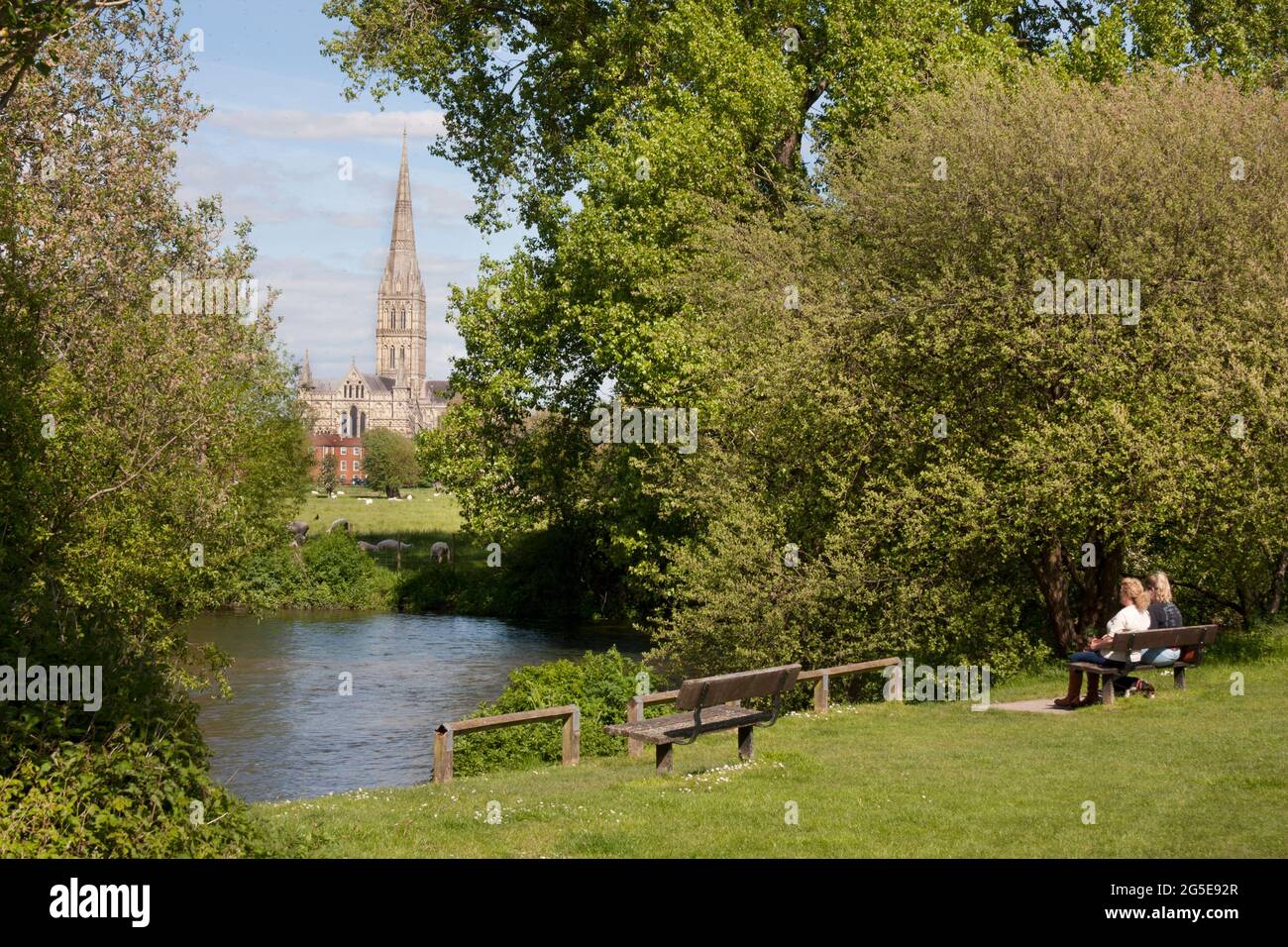 Salisbury Cathedral as seen from the Harnham water meadows, Wiltshire, England Stock Photo