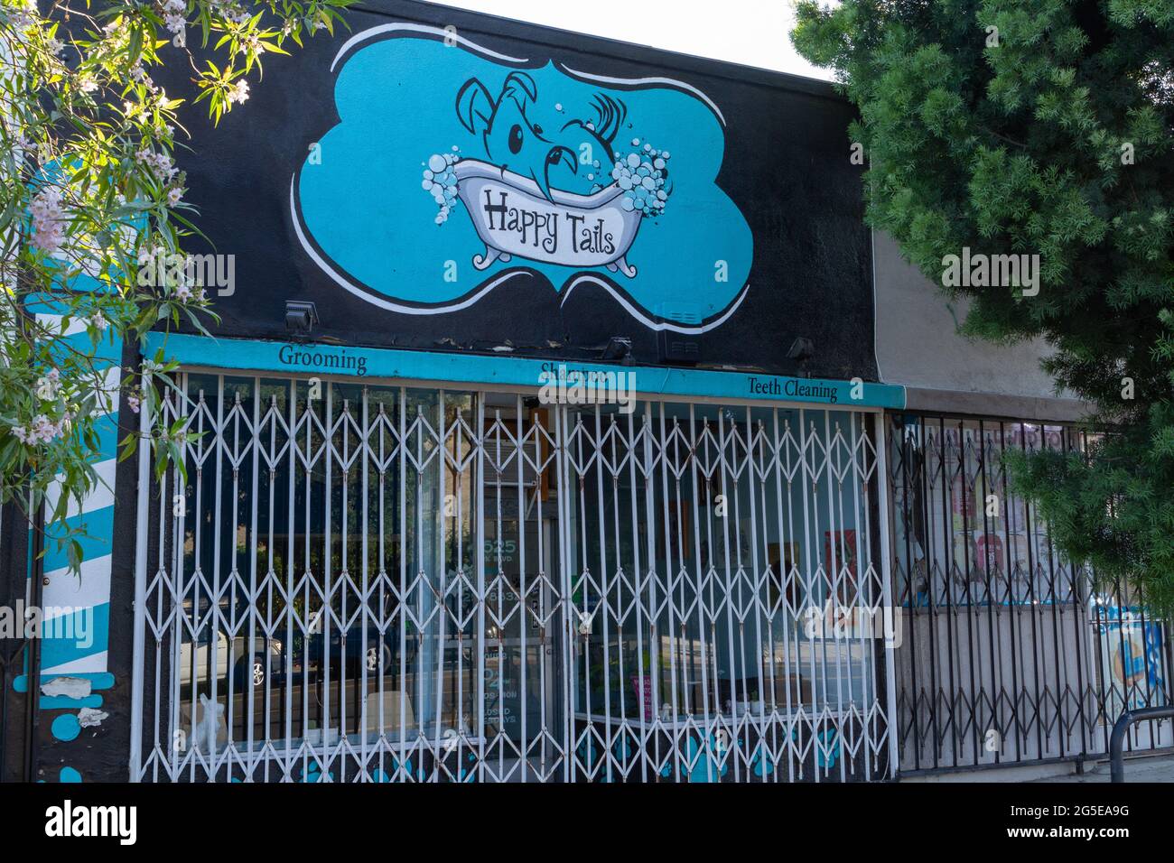 A fancy dog grooming store in gentrifying Highland Park, still