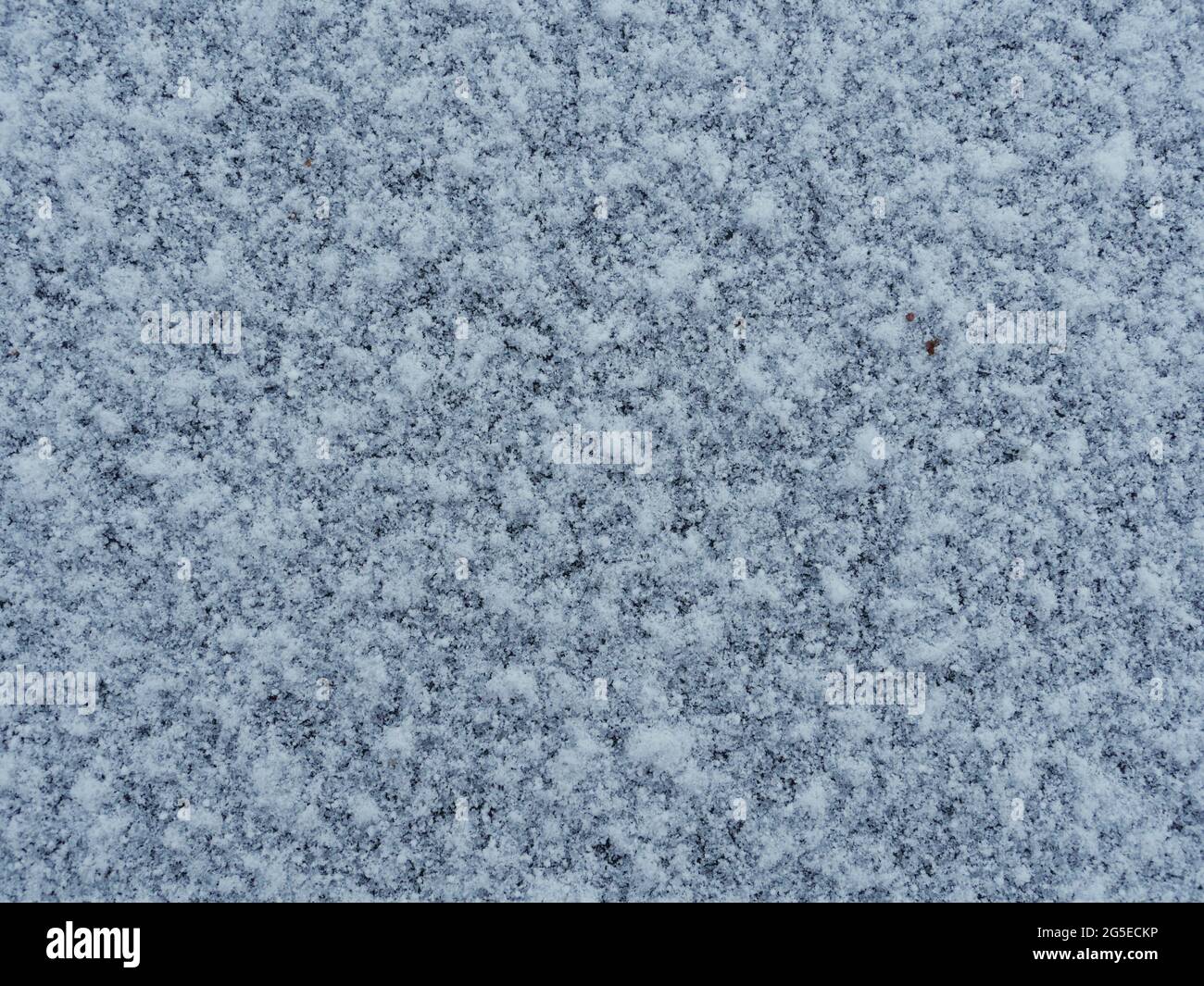 first snow abstract white background Stock Photo