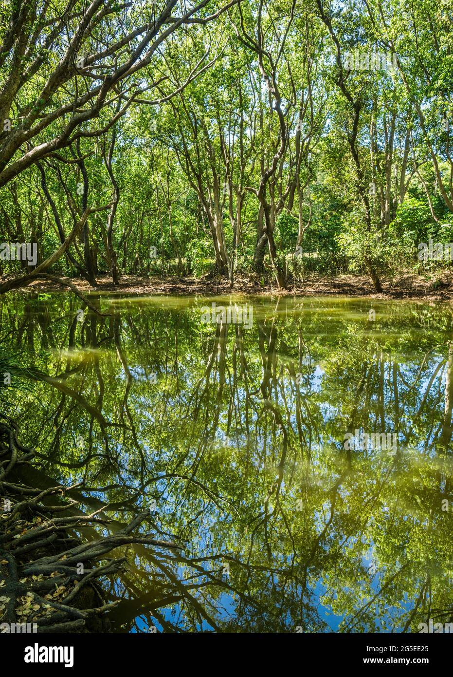 Northern creek hires stock photography and images Alamy