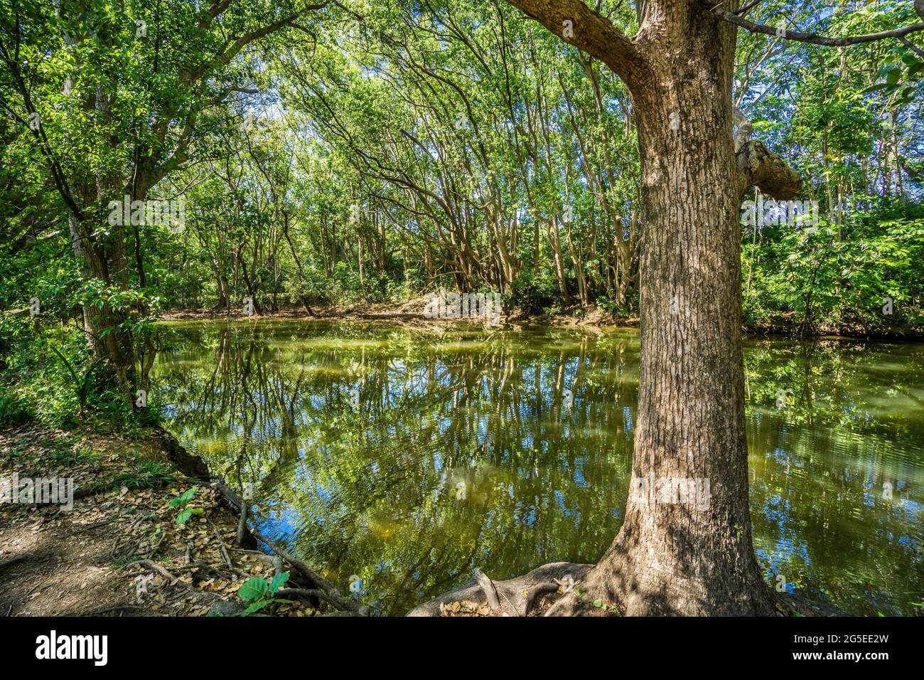 Mullumbimby creek hires stock photography and images Alamy