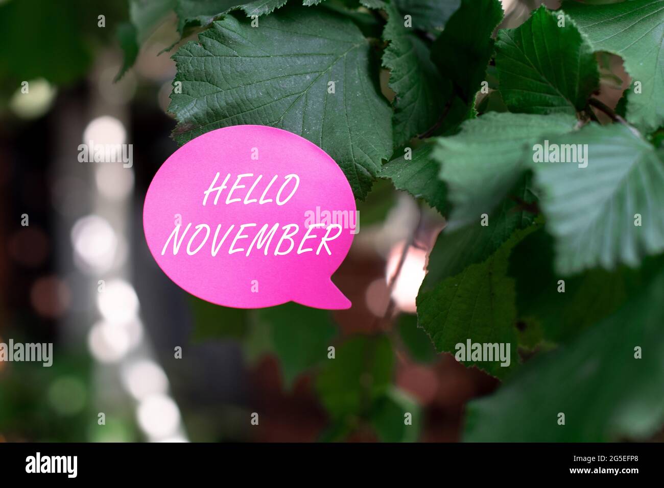 Finalizing November Conceptual caption Hello November. Word Written on greeting used when ...