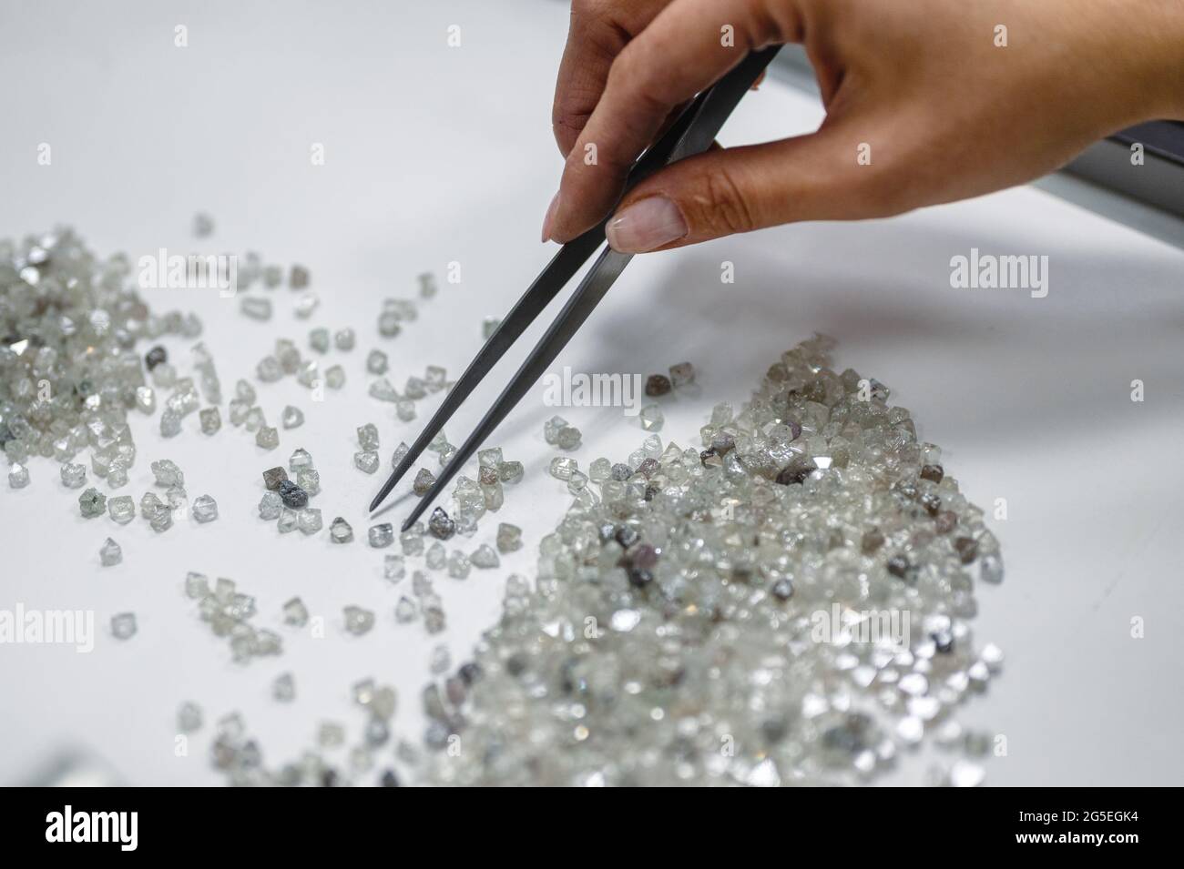 A hand holding tweezers transfers diamonds from one pile to another. Discarding precious stones on a white sheet Stock Photo