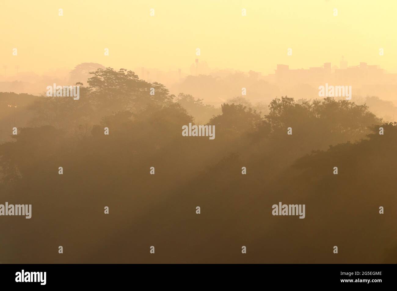 landscape photo, misty morning with layer of trees Stock Photo - Alamy