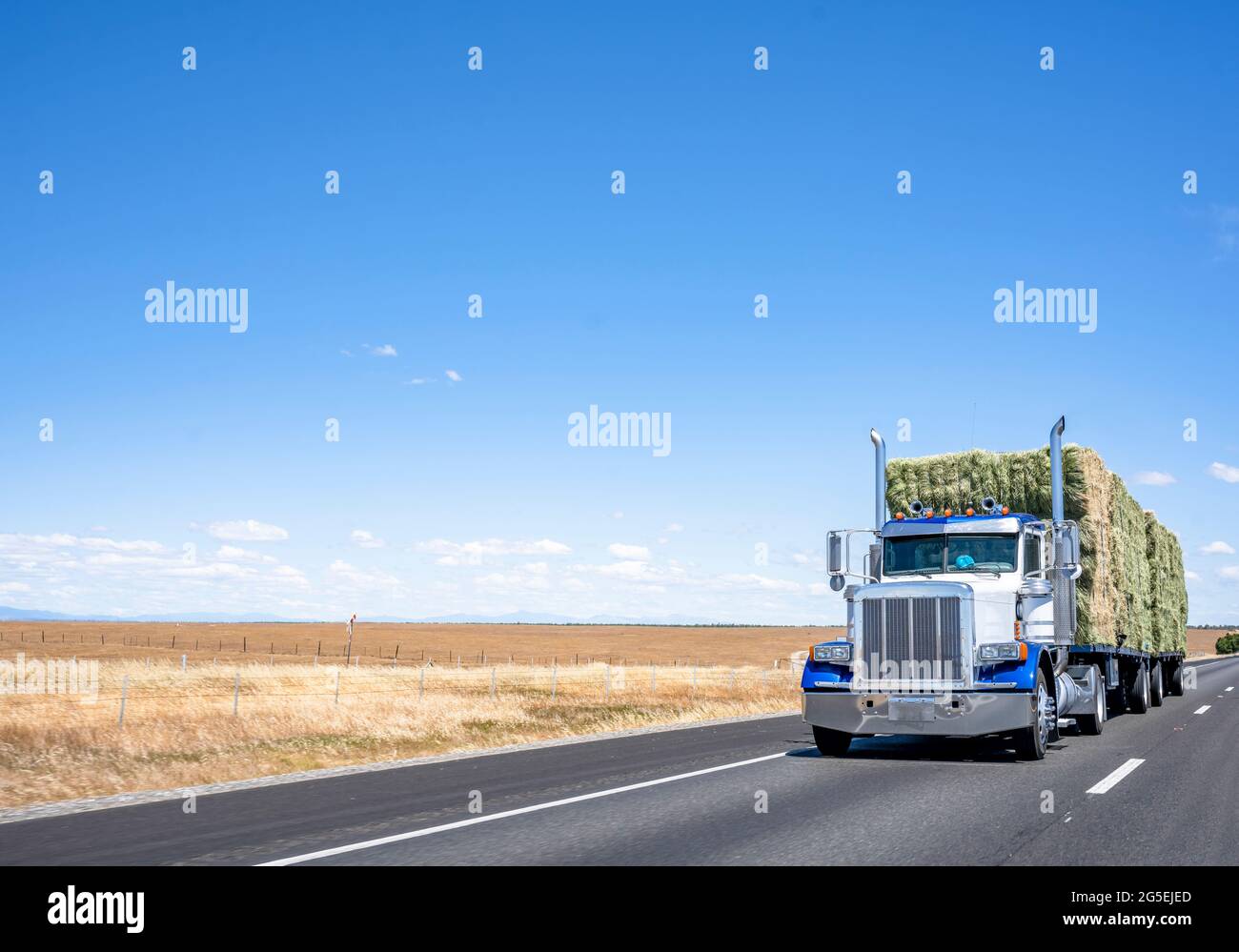 Powerful classic big rig American semi truck with chrome exhaust pipes transporting pressed into