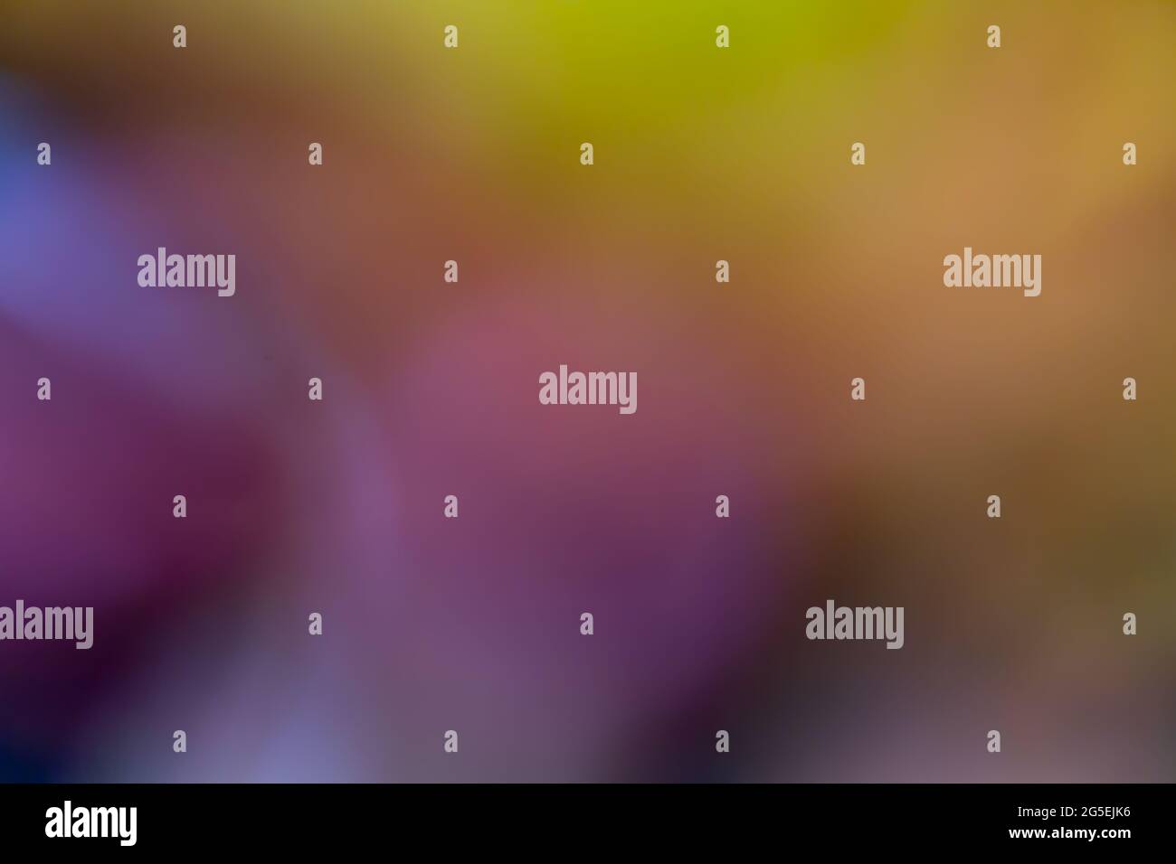 multicolor blurry background, Colorful Gradient blurry background Stock Photo