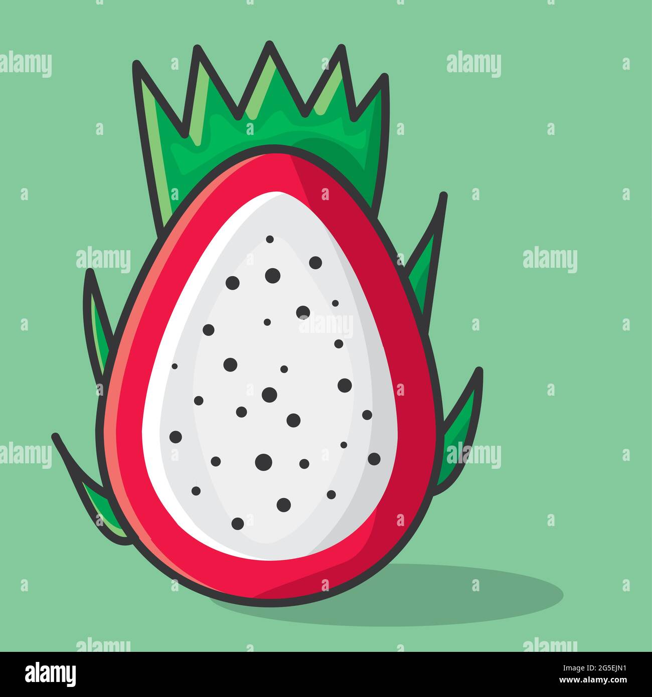 dragon fruit slice vector illustration in flat style Stock Vector