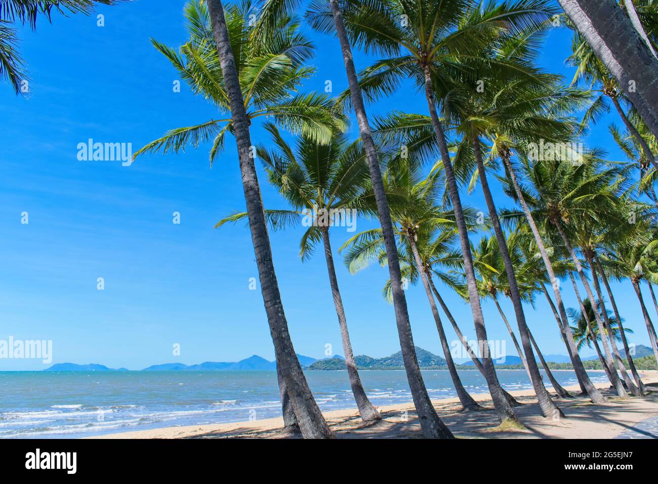 Coconut palms and tropical beach Stock Photo