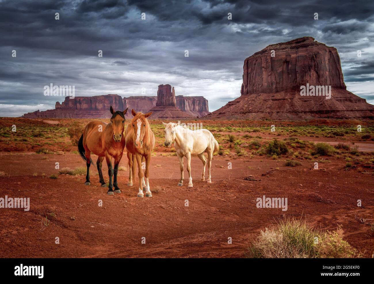 Three horses in the Monument Valley desert, Arizona-Utah Stock Photo
