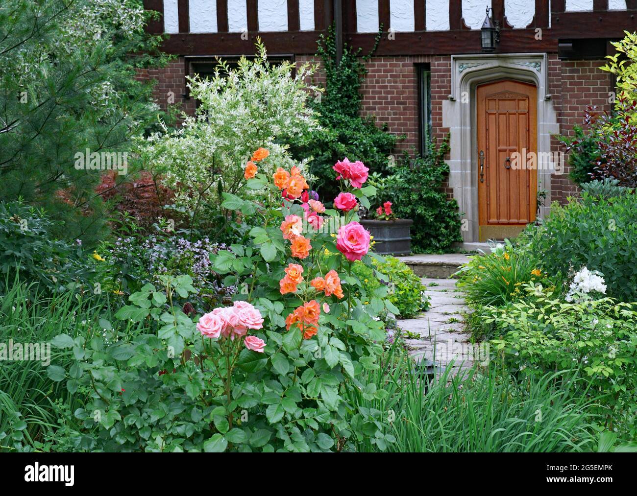 front yard of traditional house with rose bushes Stock Photo