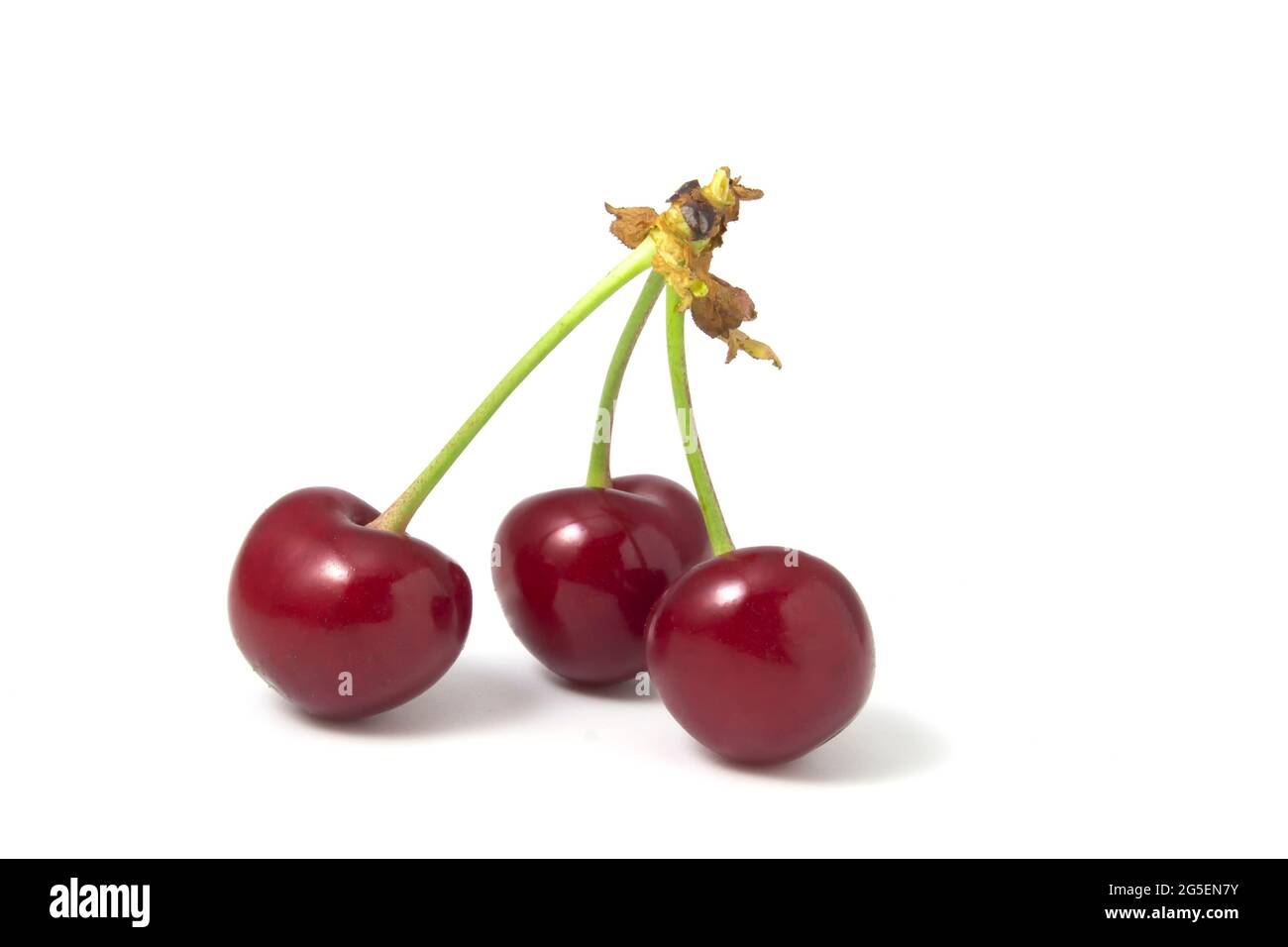 Three cherries isolated on white background. Fresh fruits full focus Stock Photo