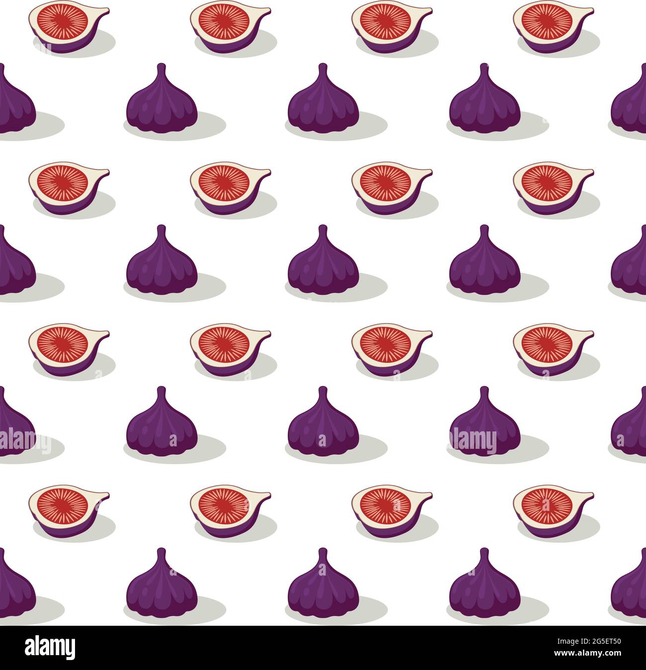 purple fig fruit sweet summer pattern on a white background seamless vector. Stock Vector