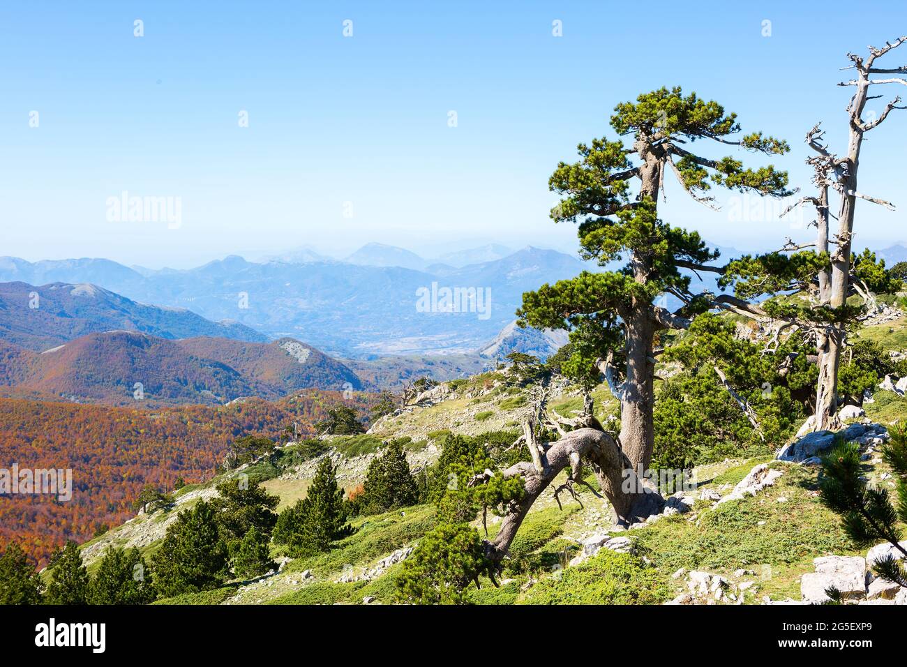 View from Serra Di Crispo, Pollino National Park,  southern Apennine Mountains, Italy. Stock Photo