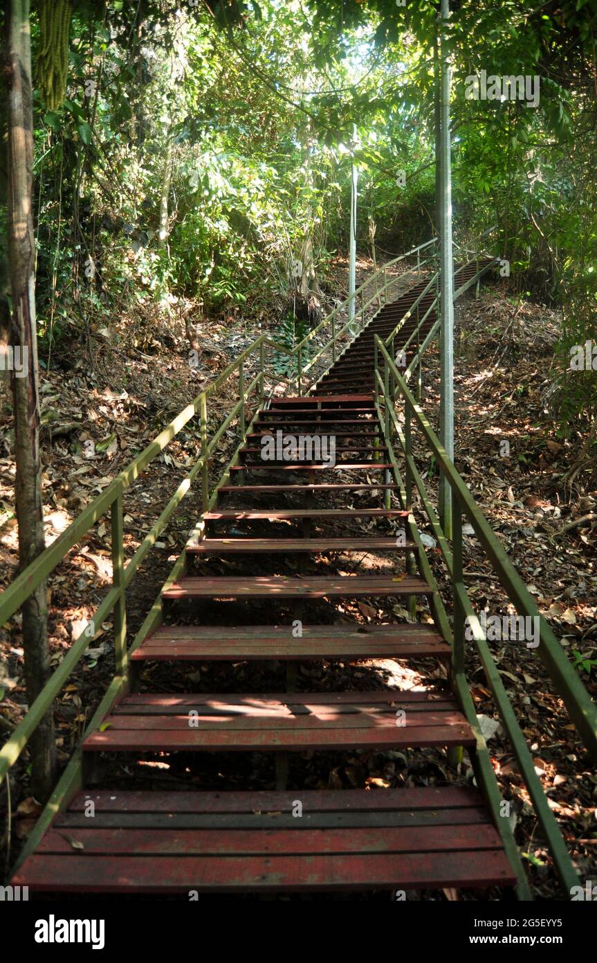 Footpath wooden stairway of Signal Hill Trail 2 bottom for malaysian