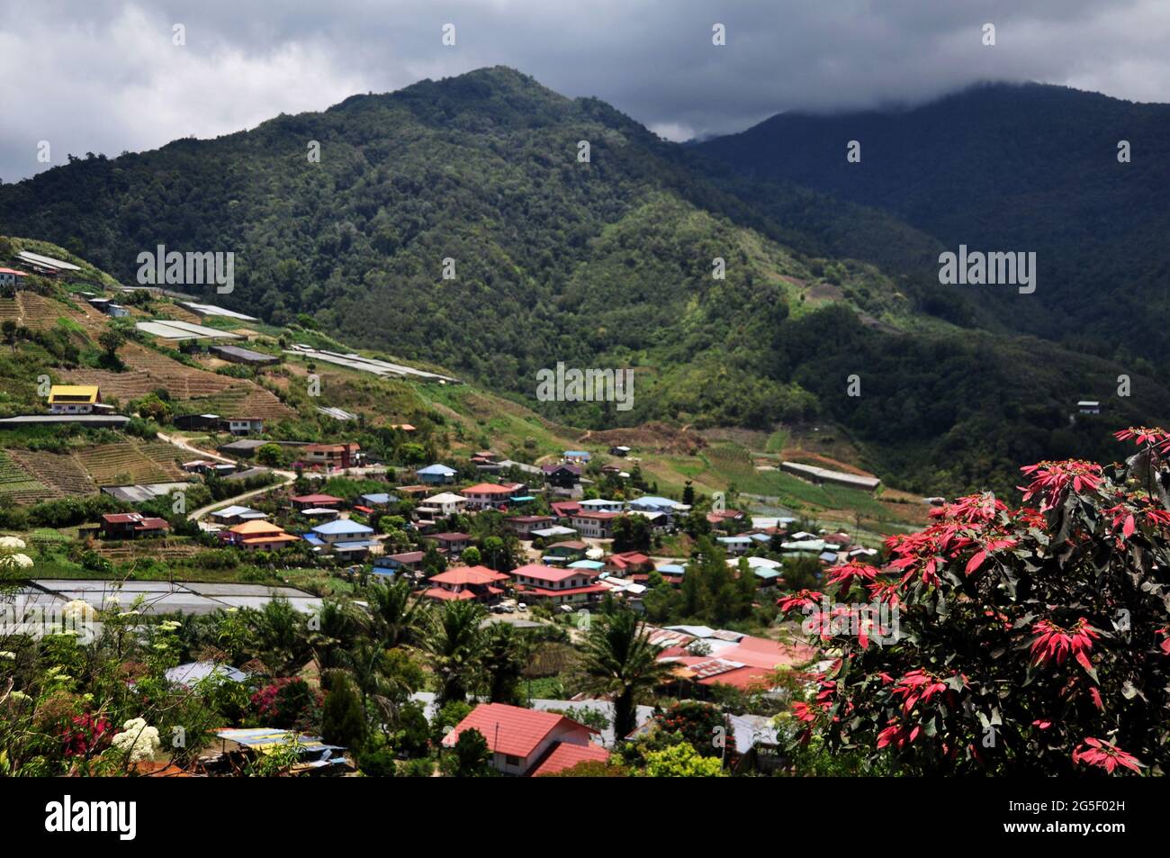 Aerial View Landscape Cityscape Of Kundasang Village Valley Hill And Building House Home With Gunung Kinabalu Mountain At Kota Kinabalu Jesselton City Stock Photo Alamy