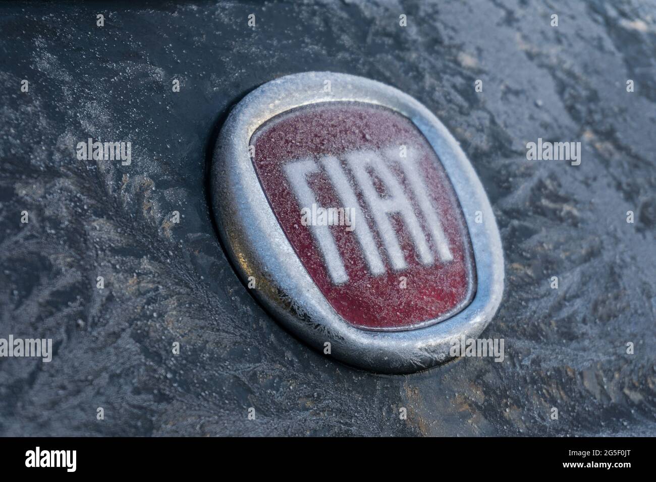 Outdoor close up of a Fiat car company logo badge emblem on the rear of a grey Fiat 500 covered
