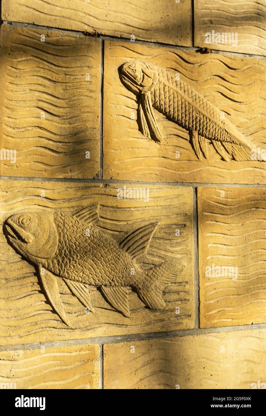 Close up detail of terracotta stone relief sculptures of fish in the sunshine in the Natural History Museum, Kensington, London Stock Photo