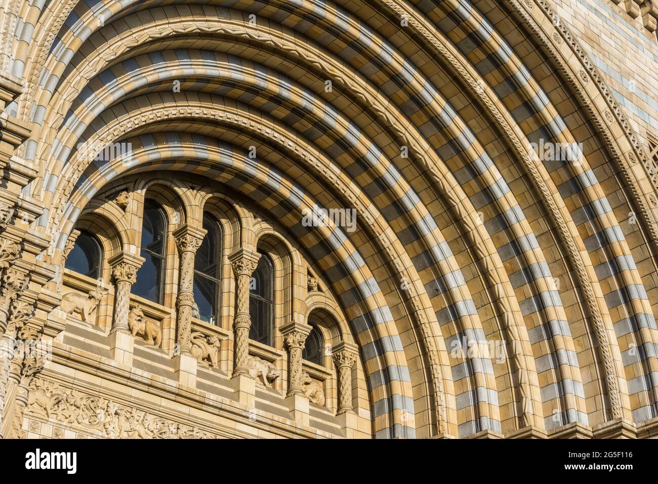 Close up detail of the terracotta front facade of the Natural History Museum, Kensington, London. Stock Photo