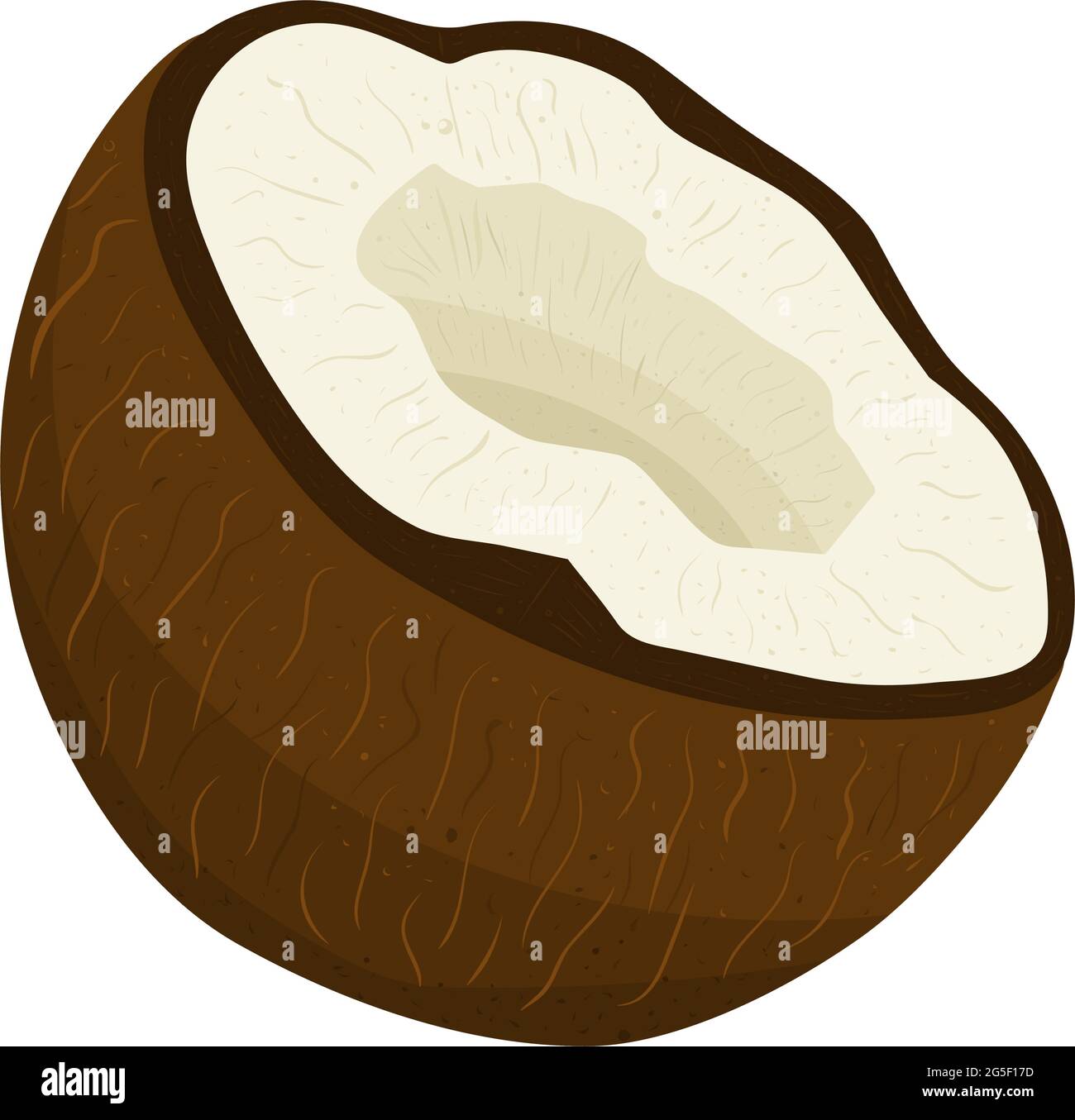 Cartoon illustration with colorful coconut. Farm market product. Vector