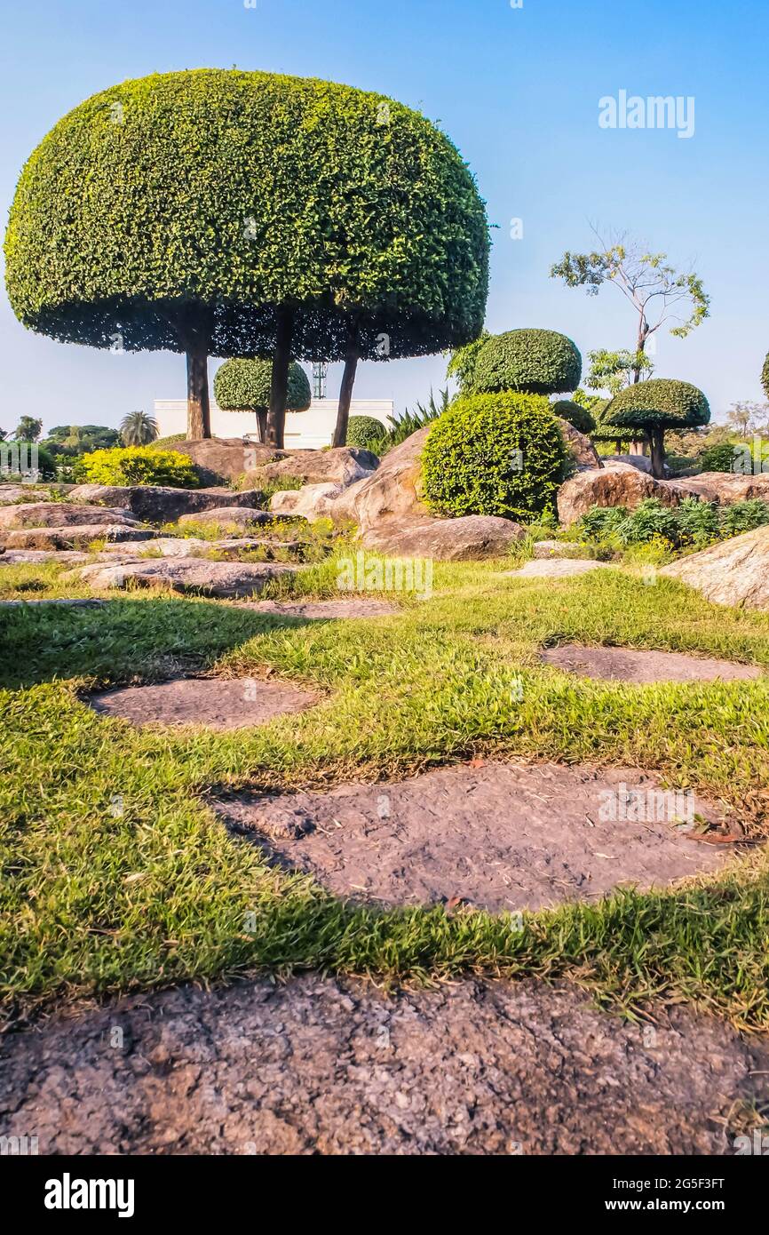 Picturesque Japanese garden.Chinese japanese garden topiary dcoration design shrub form. Stock Photo