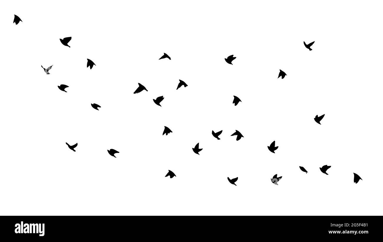 A flock of flying birds. Vector illustration Stock Vector Image & Art ...