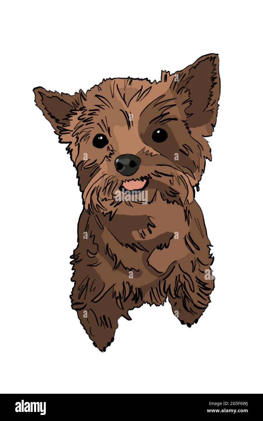 Cartoon drawing of Cute Yorkshire terrier dog with its tongue out ...