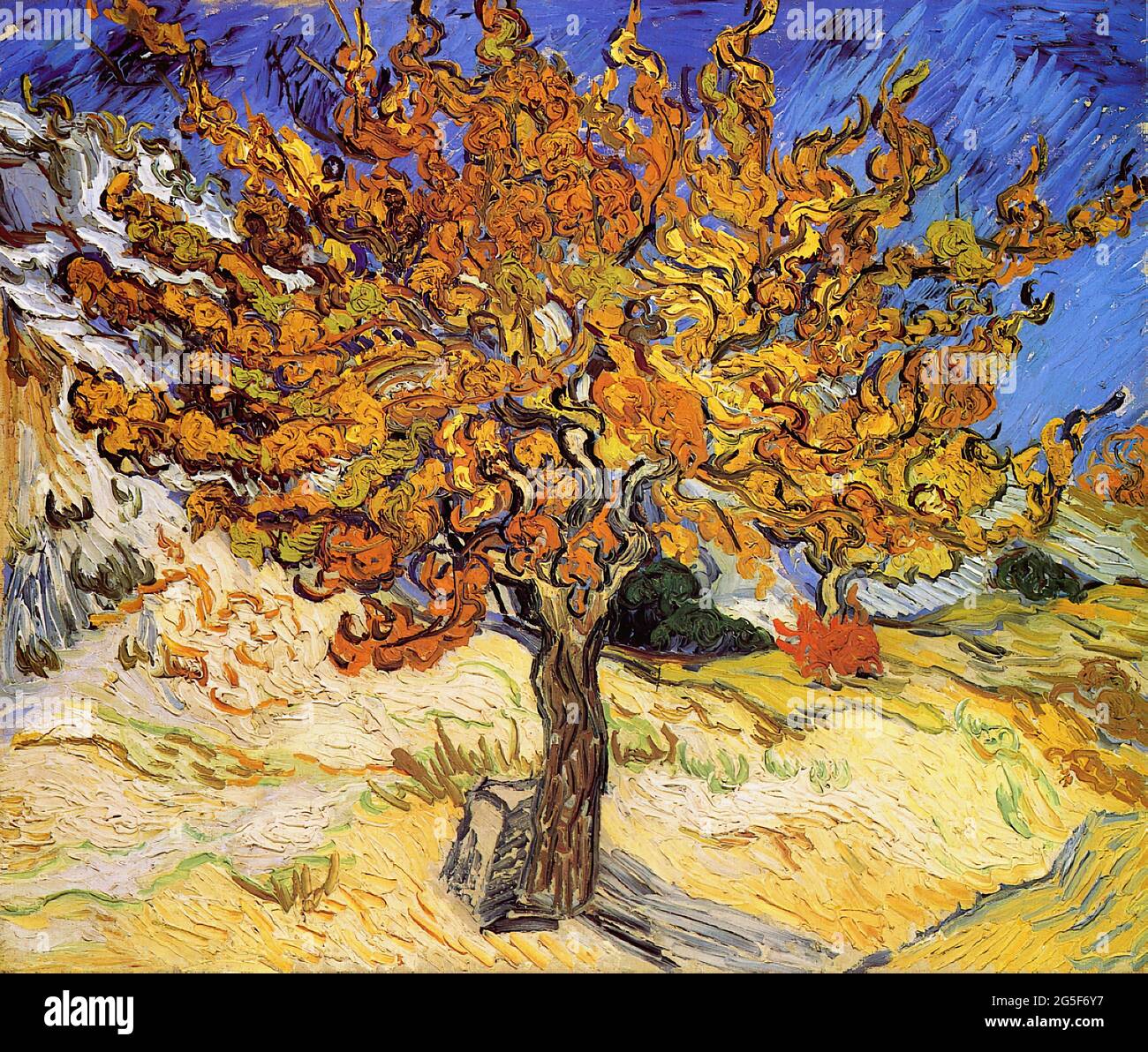 Vincent Van Gogh -  Mulberry Tree 1889 Stock Photo