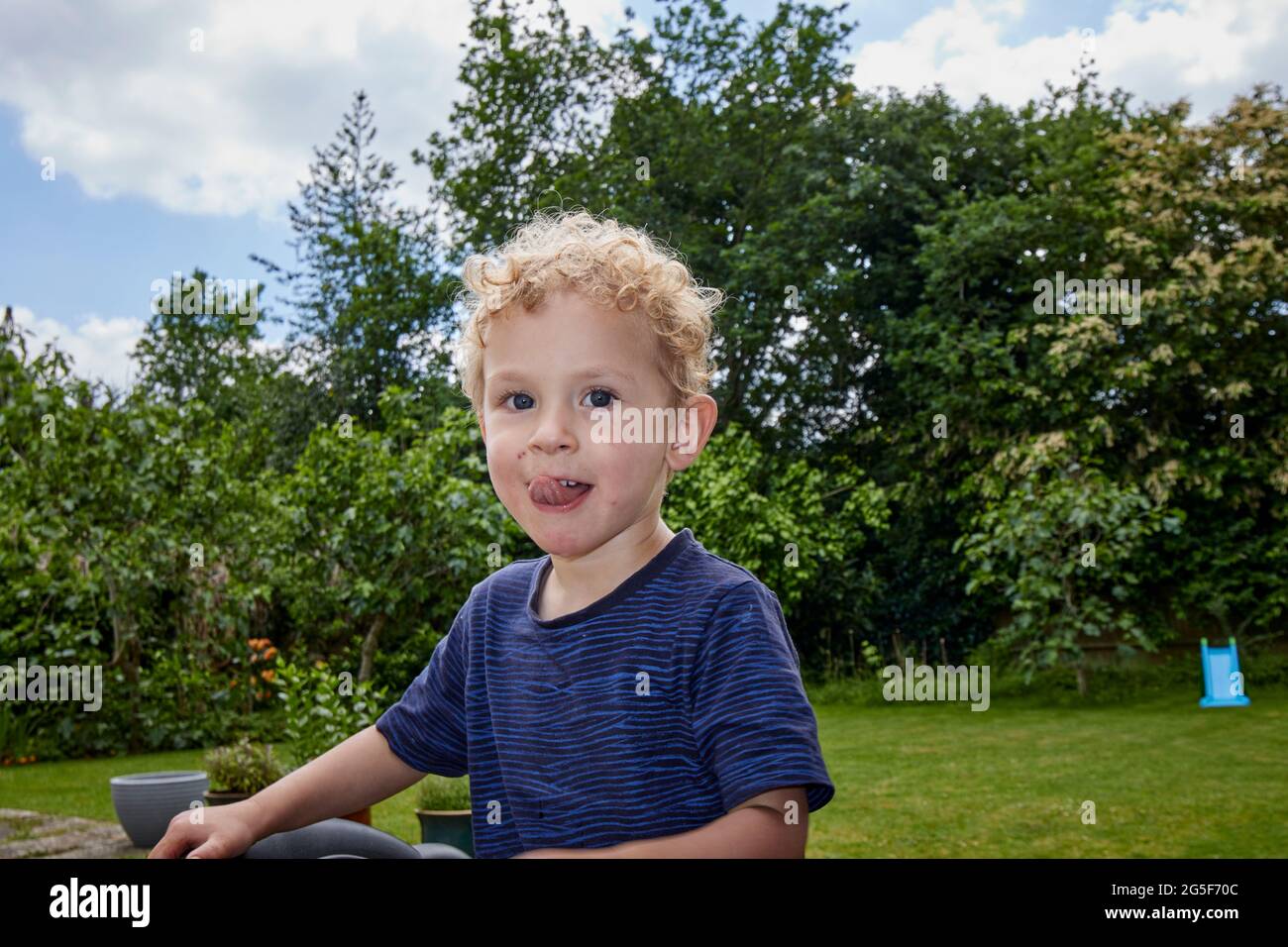 A happy white Caucasian small boy age nearly 3 with curly blond hair in a  garden