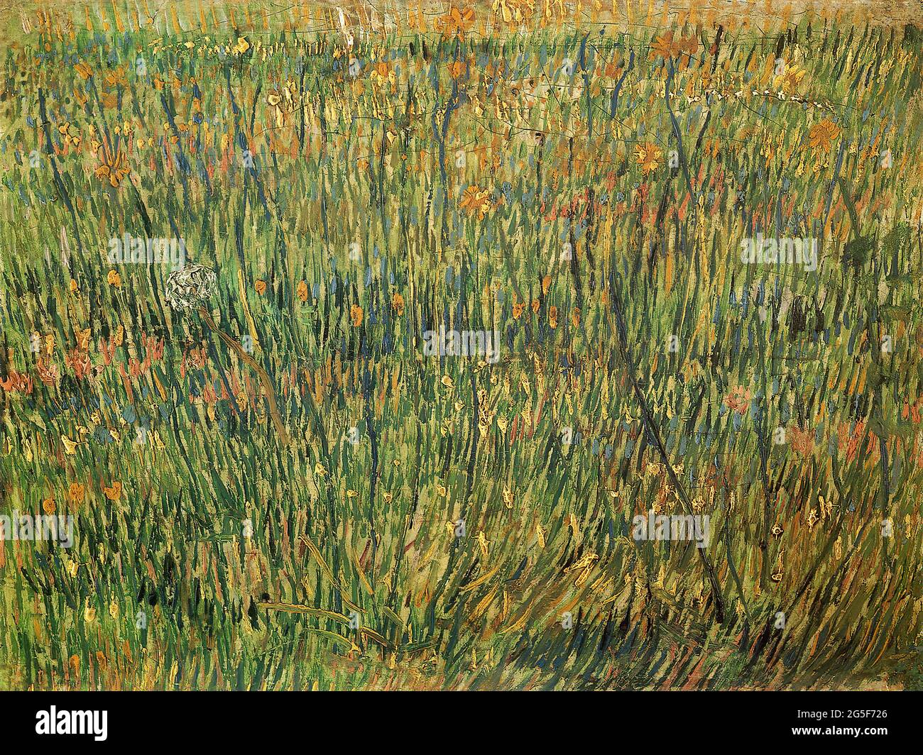 Vincent Van Gogh -  Pasture Bloom 1887 Stock Photo