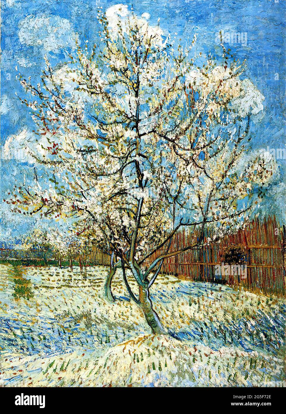 Vincent Van Gogh -  Peach Trees Blossom 1888 Stock Photo