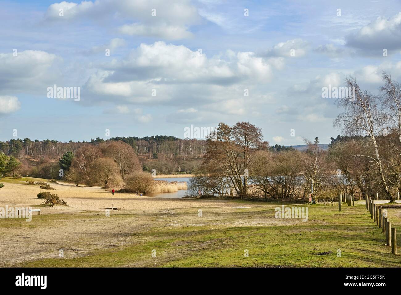 Scenery at Frensham Great Pond, Frensham Common, Waverley, Surrey, UK, with lake and sandy beach area, a local beauty spot and recreational area Stock Photo