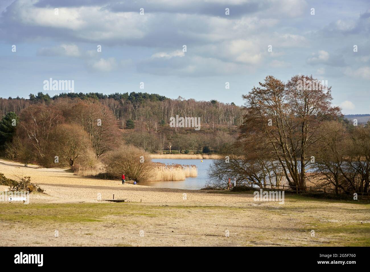 Scenery at Frensham Great Pond, Frensham Common, Waverley, Surrey, UK, with lake and sandy beach area, a local beauty spot and recreational area Stock Photo