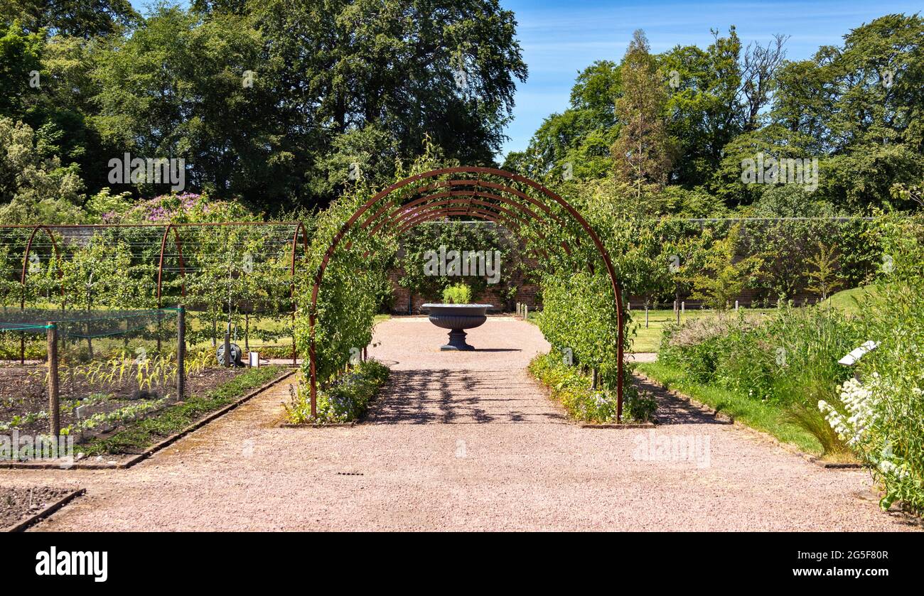 GORDON CASTLE WALLED GARDEN FOCHABERS SCOTLAND ARCHWAY WITH FRUIT TREES AND AN URN Stock Photo