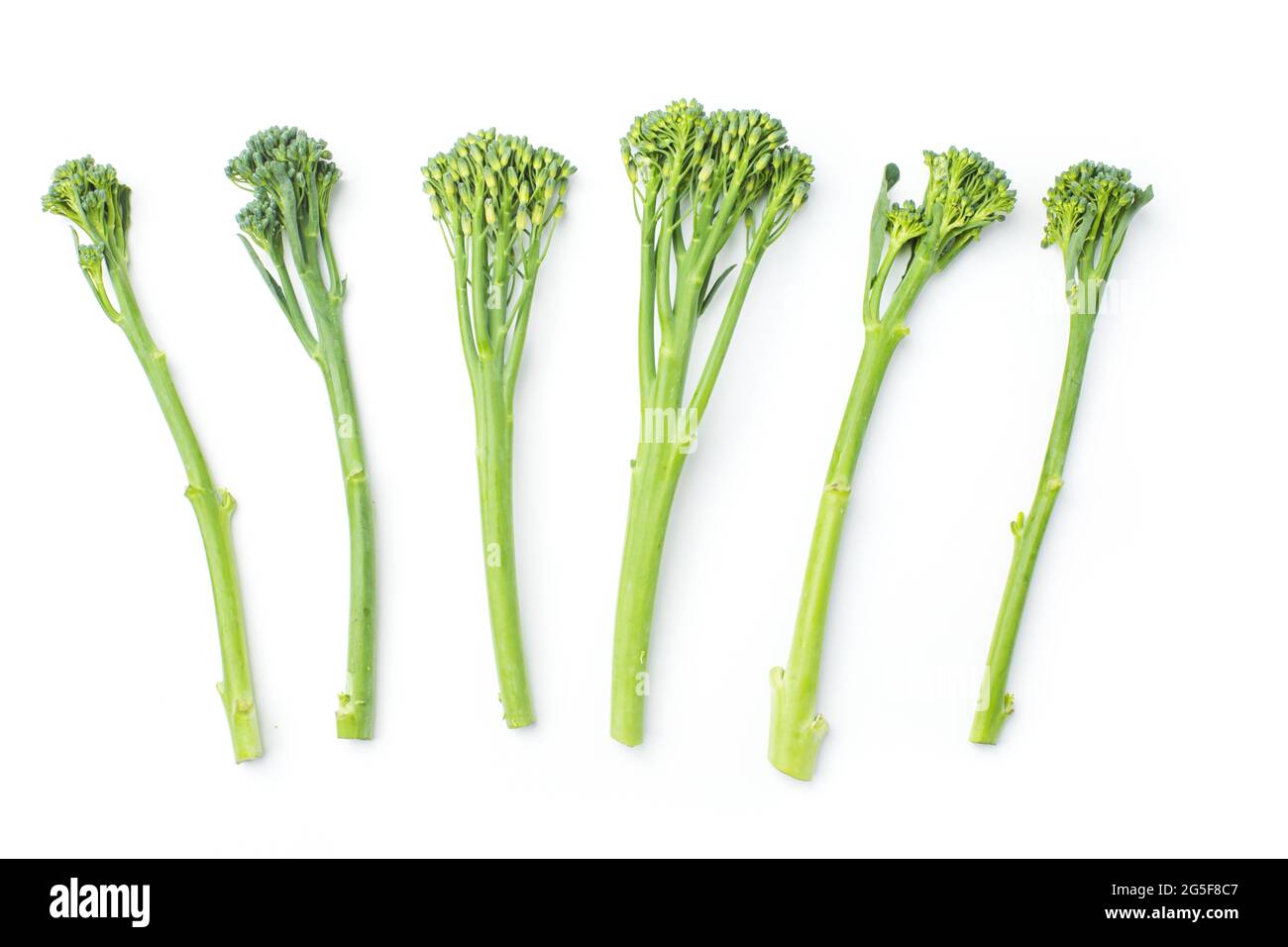 Raw broccolini at the row on white background Stock Photo