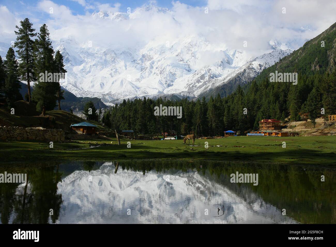 Nanga Parbat from Fairy Meadows Pakistan Stock Photo