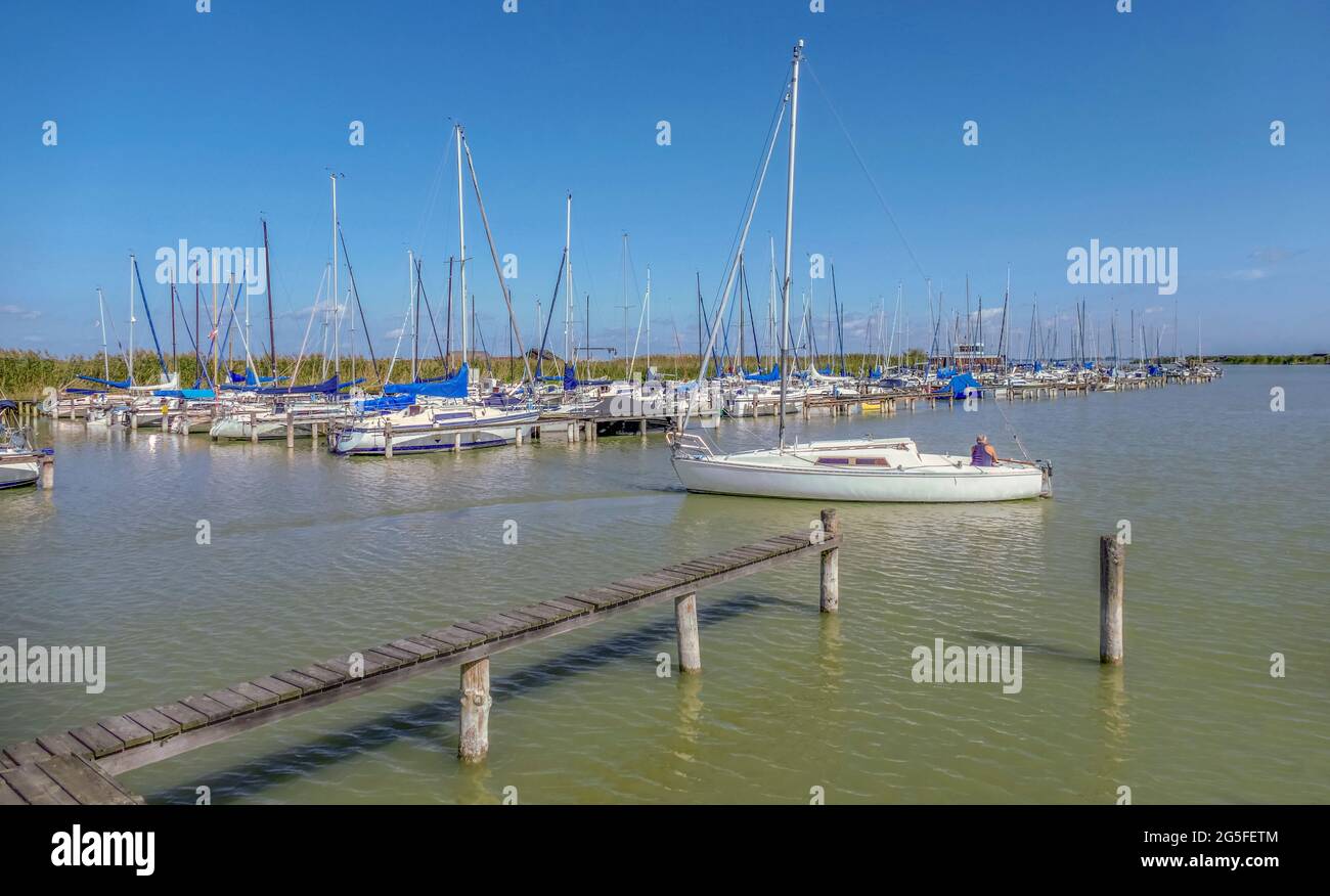 waterside scenery with lots if boats at Lake Neusiedl in Austria Stock Photo