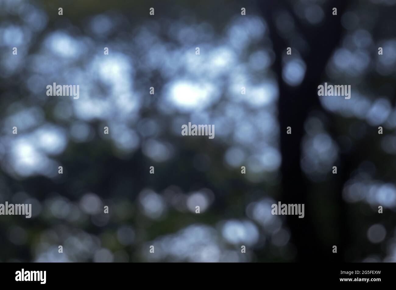 Bokeh Background, Nature abstract bokeh background Stock Photo