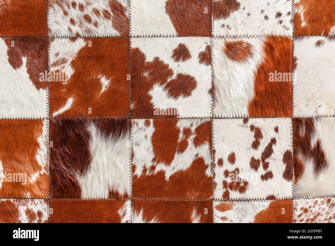 Cattle animal skin hides closeup photo image abstract background detail of  cleaned treated stiched together square blocks to make rug carpet decor l  Stock Photo - Alamy