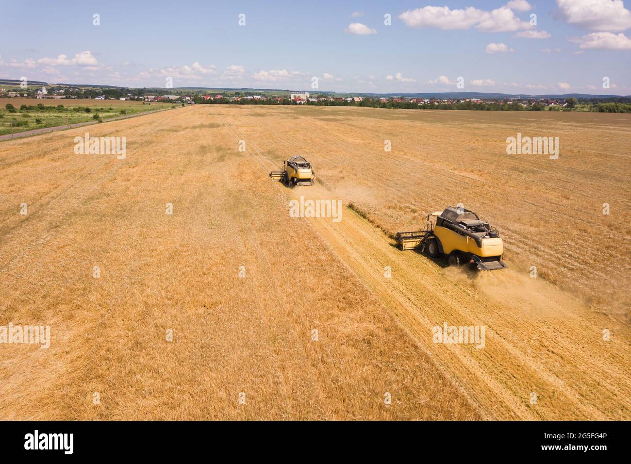 Aerial view of combine harvesters harvesting large yellow ripe wheat ...