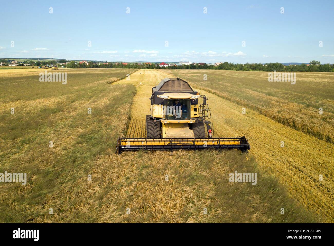 Aerial view of combine harvester harvesting large ripe wheat field ...
