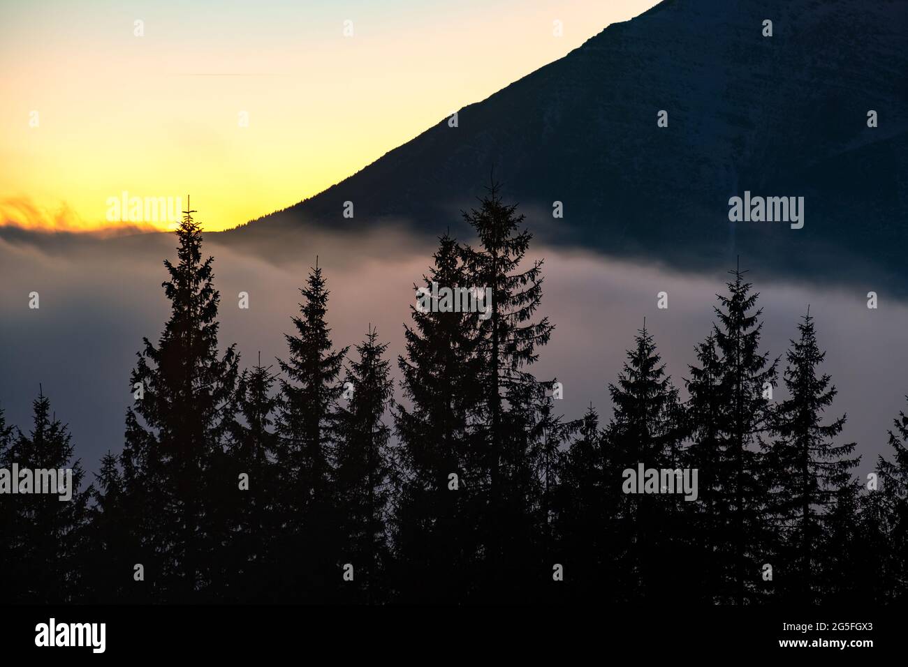 Beautiful mountain landscape with hazy peaks and foggy wooded valley at ...