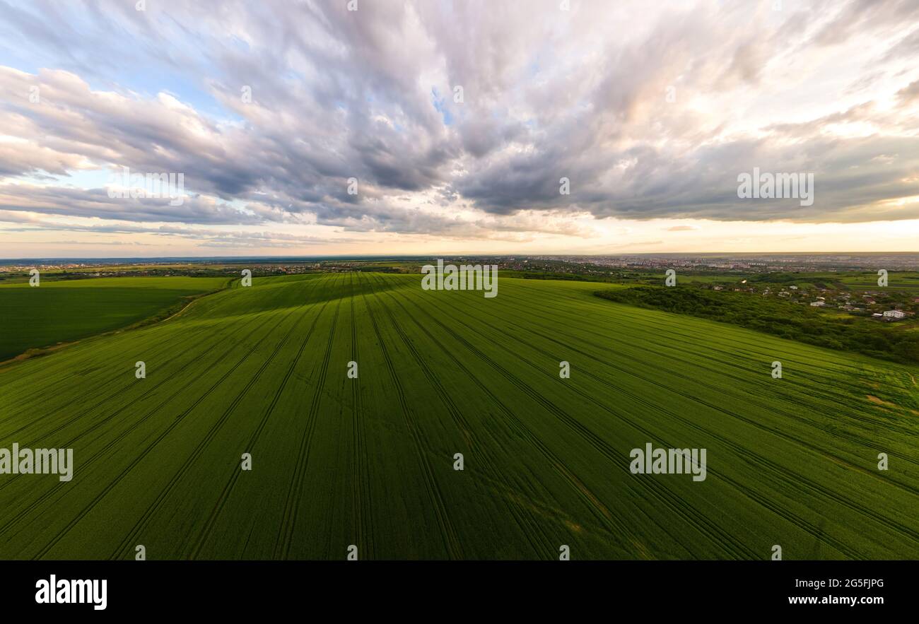 Aerial landscape view of green cultivated agricultural fields with ...