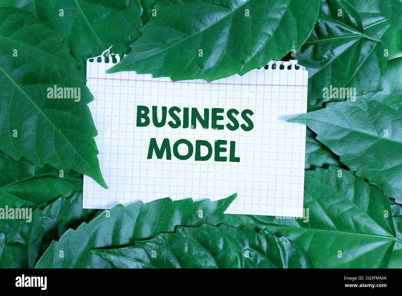 Writing Displaying Text Business Model Word Written On Model Showing Writing Displaying Text Business Model Word Written On Model Showing