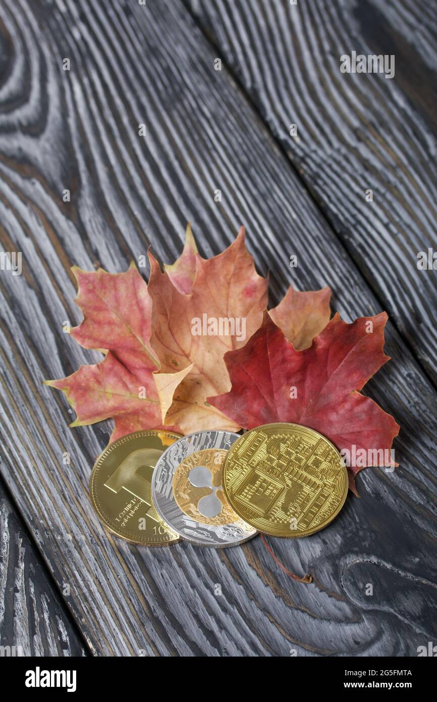 Bitcoin on autumn maple leaves, electronic decentralized money, rate of  crypto currency at fall season Stock Photo - Alamy