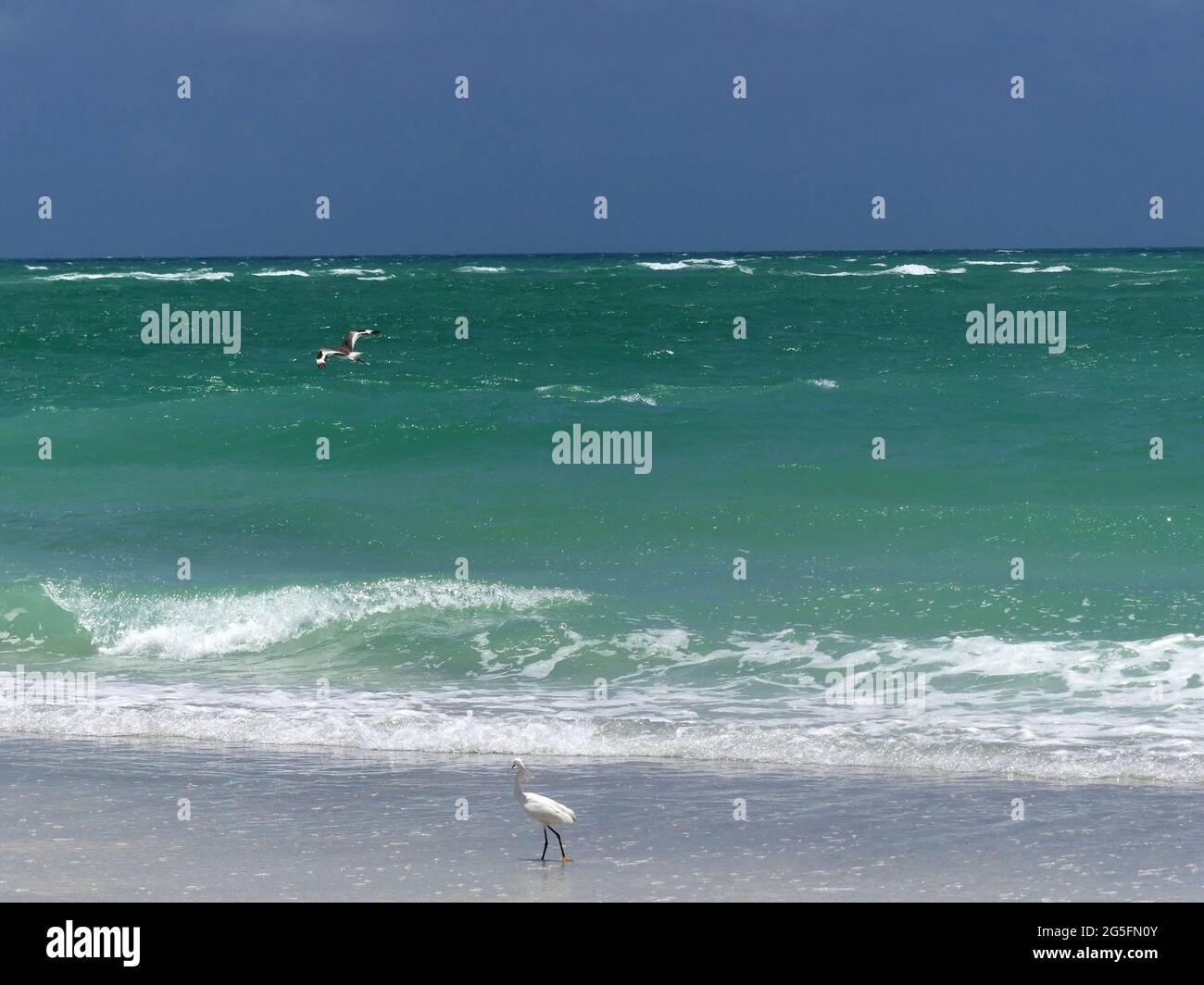 June 22, 2021, SARASOTA, FLORIDA, USA Beer Can Island, Longboat Key. (Credit Image © John