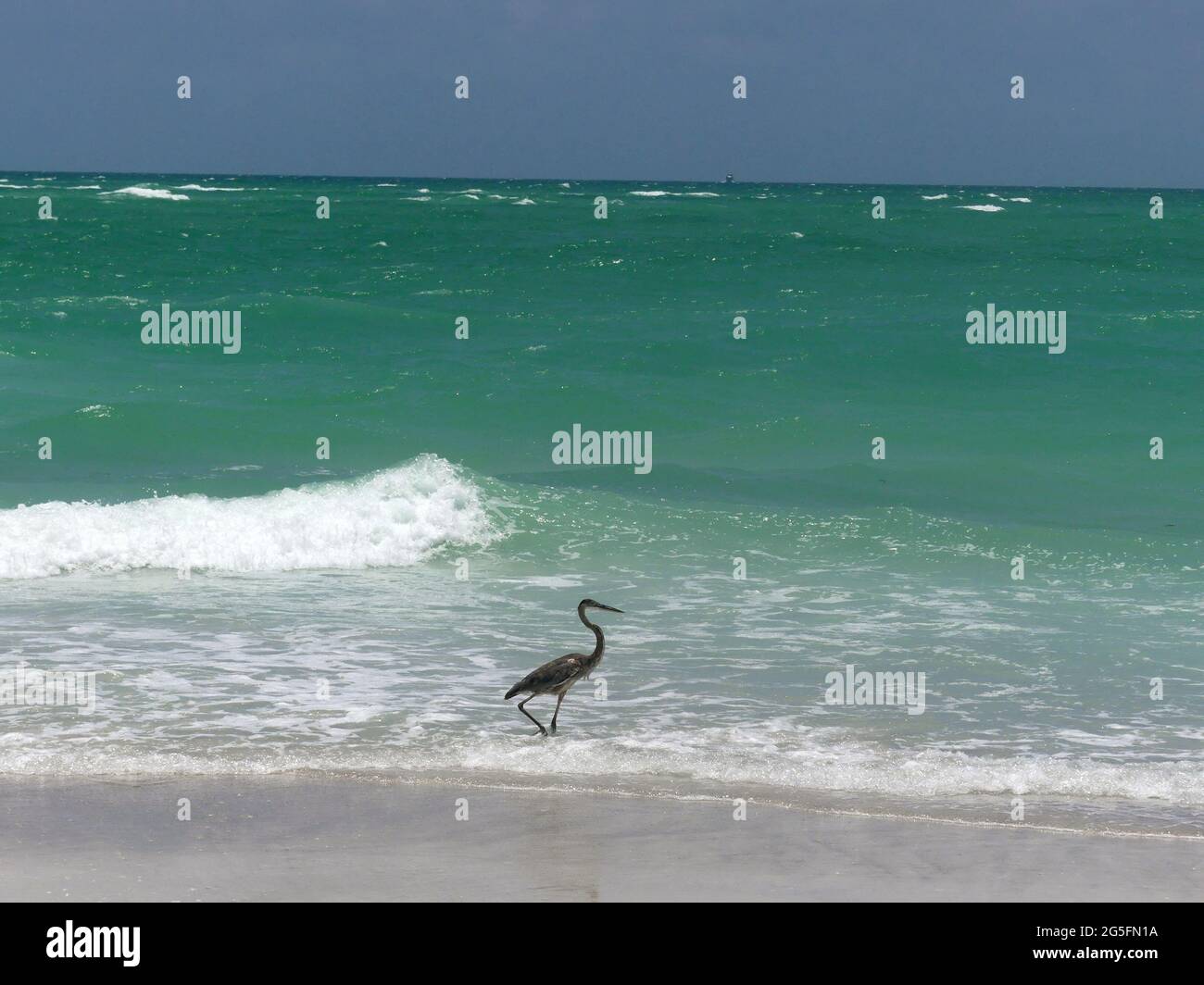 June 22, 2021, SARASOTA, FLORIDA, USA Beer Can Island, Longboat Key. (Credit Image © John
