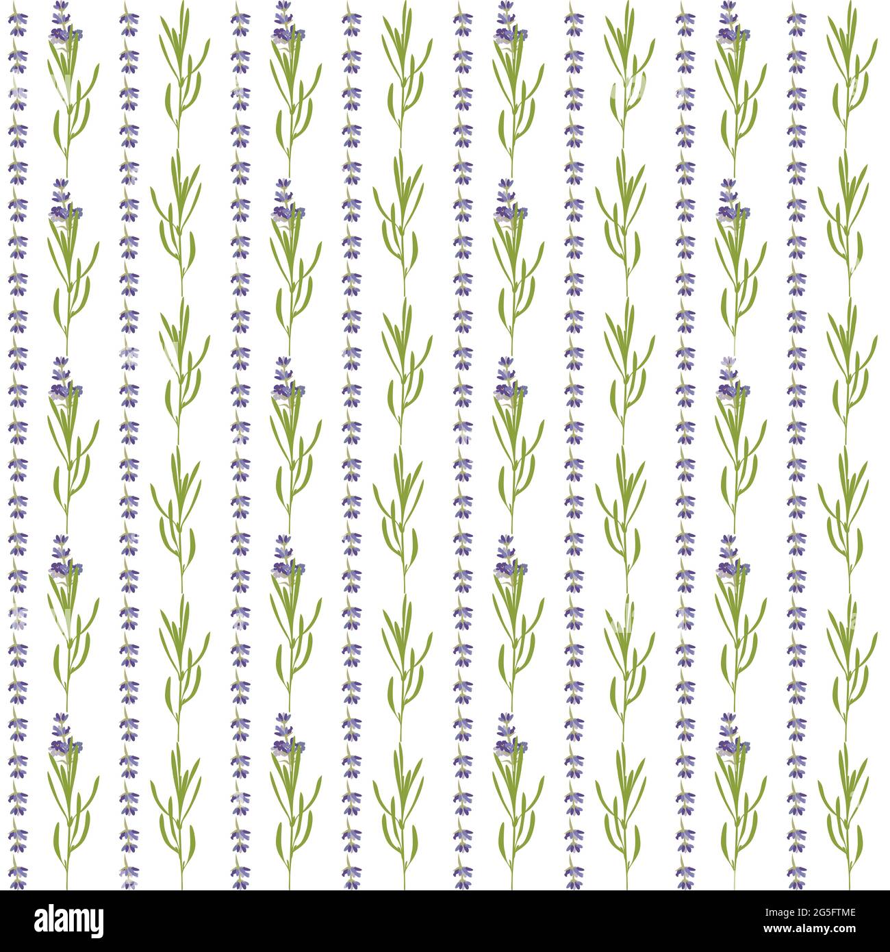 Seamless pattern with violet Lavender beautiful flower template in flat ...